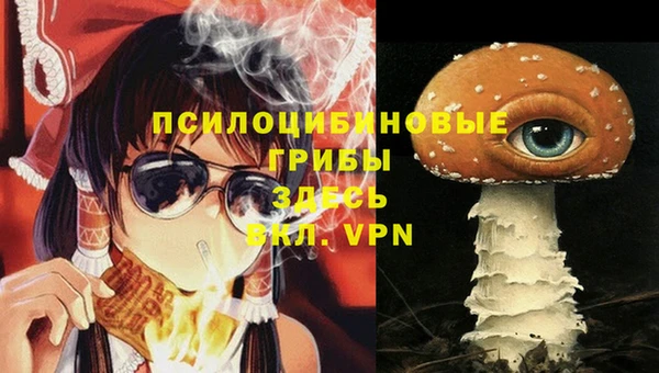 ПСИЛОЦИБИНОВЫЕ ГРИБЫ Волоколамск